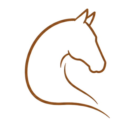 equicoaching perwez