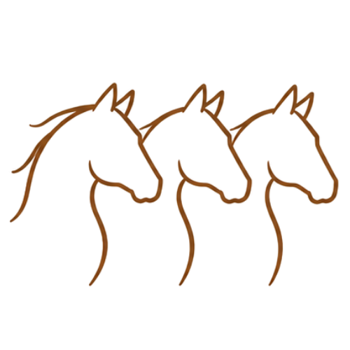 chevaux equicoaching perwez