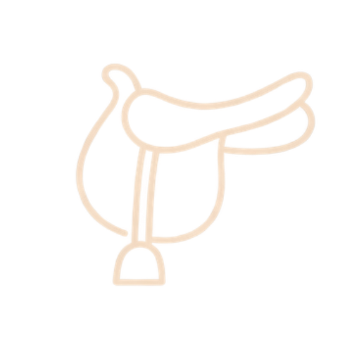 apprendre a adapter le materiel au cheval